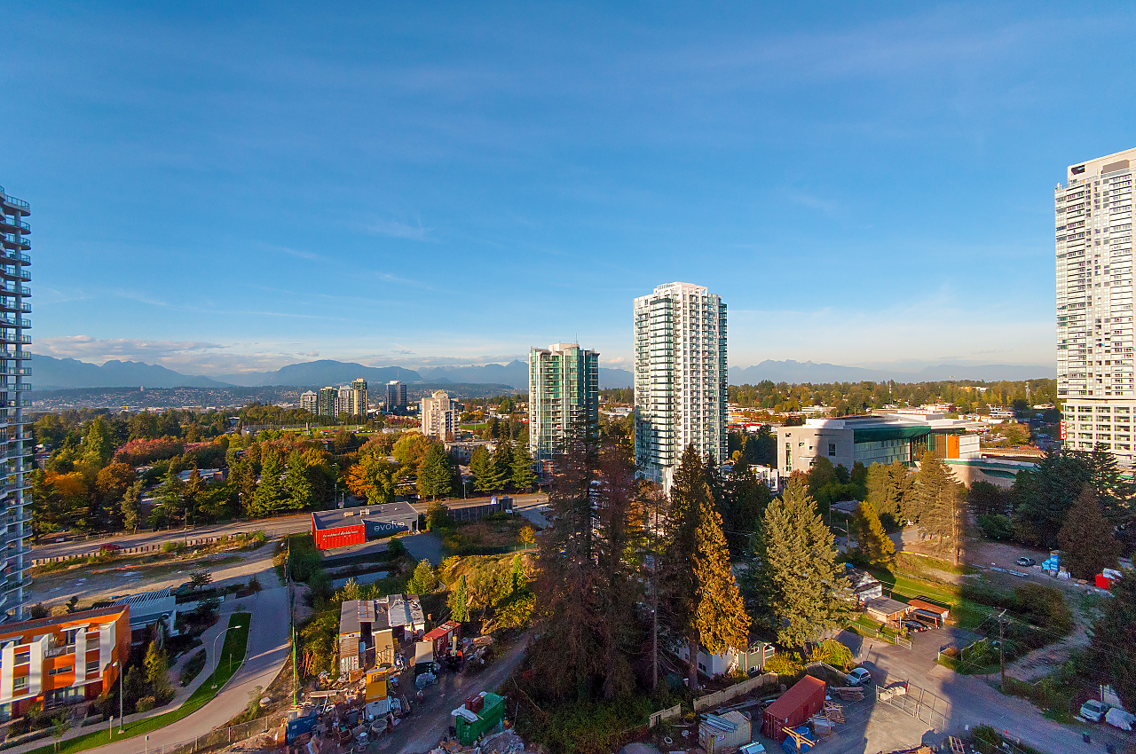 1805-13325 102A Street, Surrey 25
