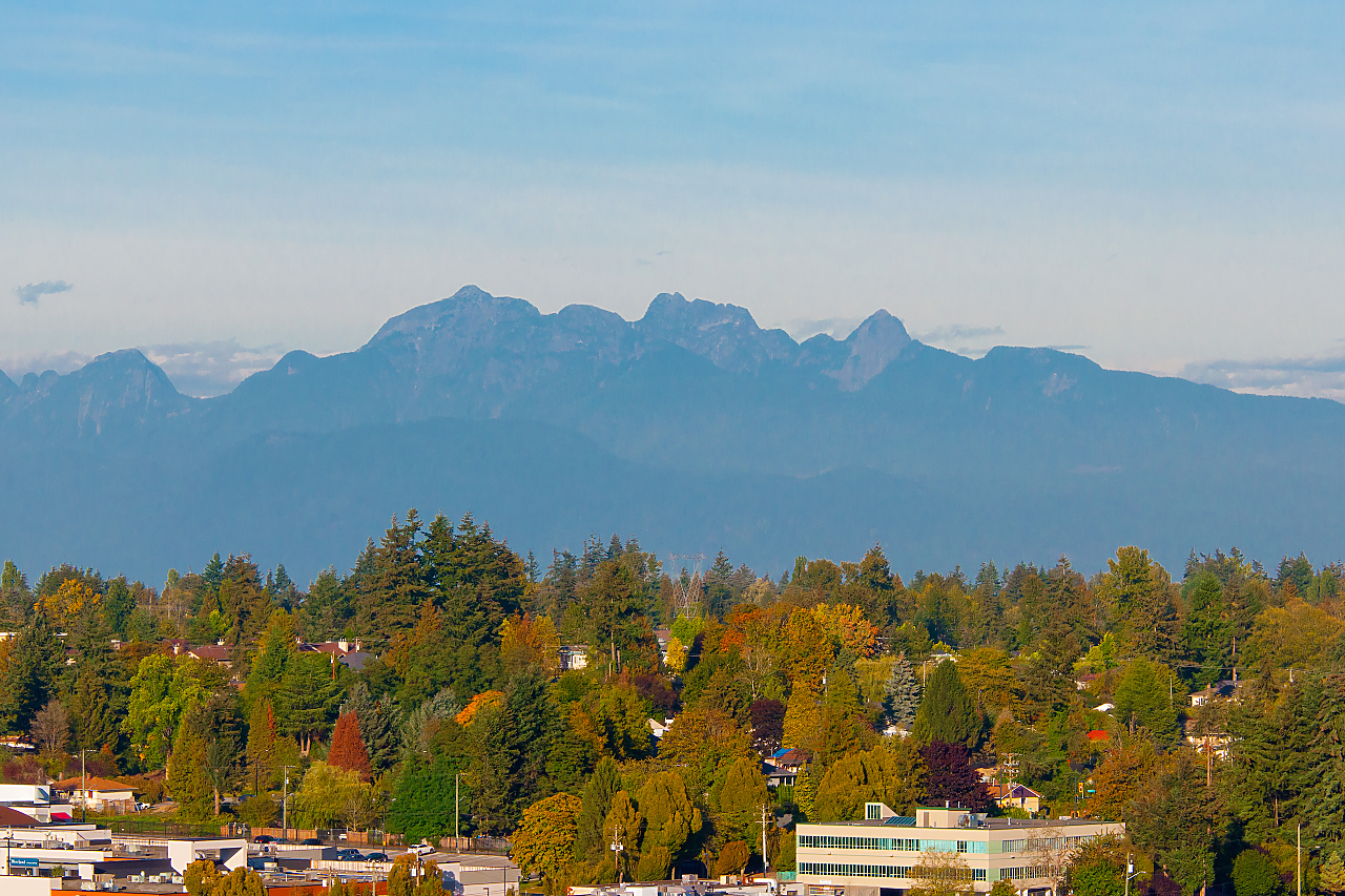 1805-13325 102A Street, Surrey 30