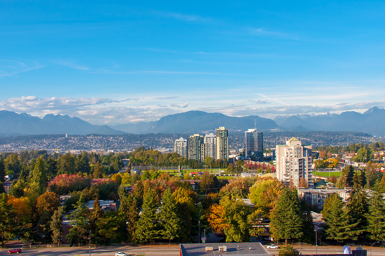 1805-13325 102A Street, Surrey 31