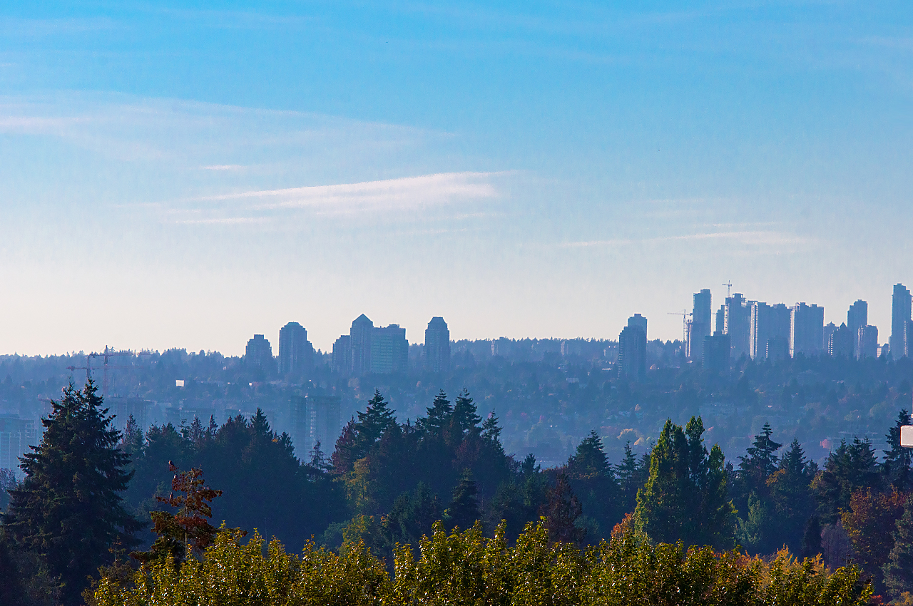 1805-13325 102A Street, Surrey 32