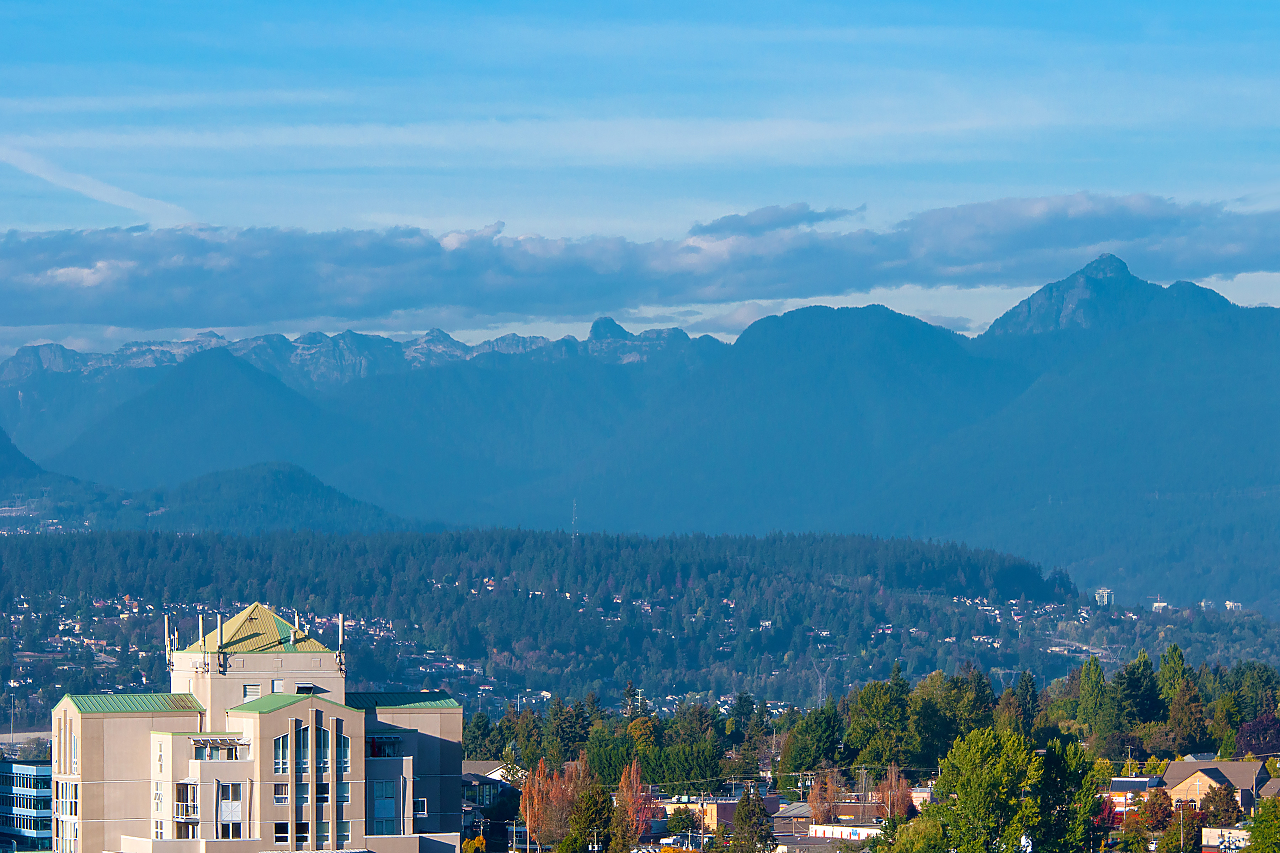 1805-13325 102A Street, Surrey 33