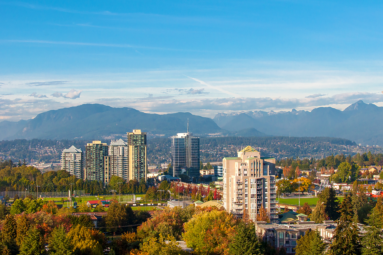 1805-13325 102A Street, Surrey 34