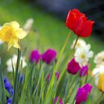 Spring has sprung!