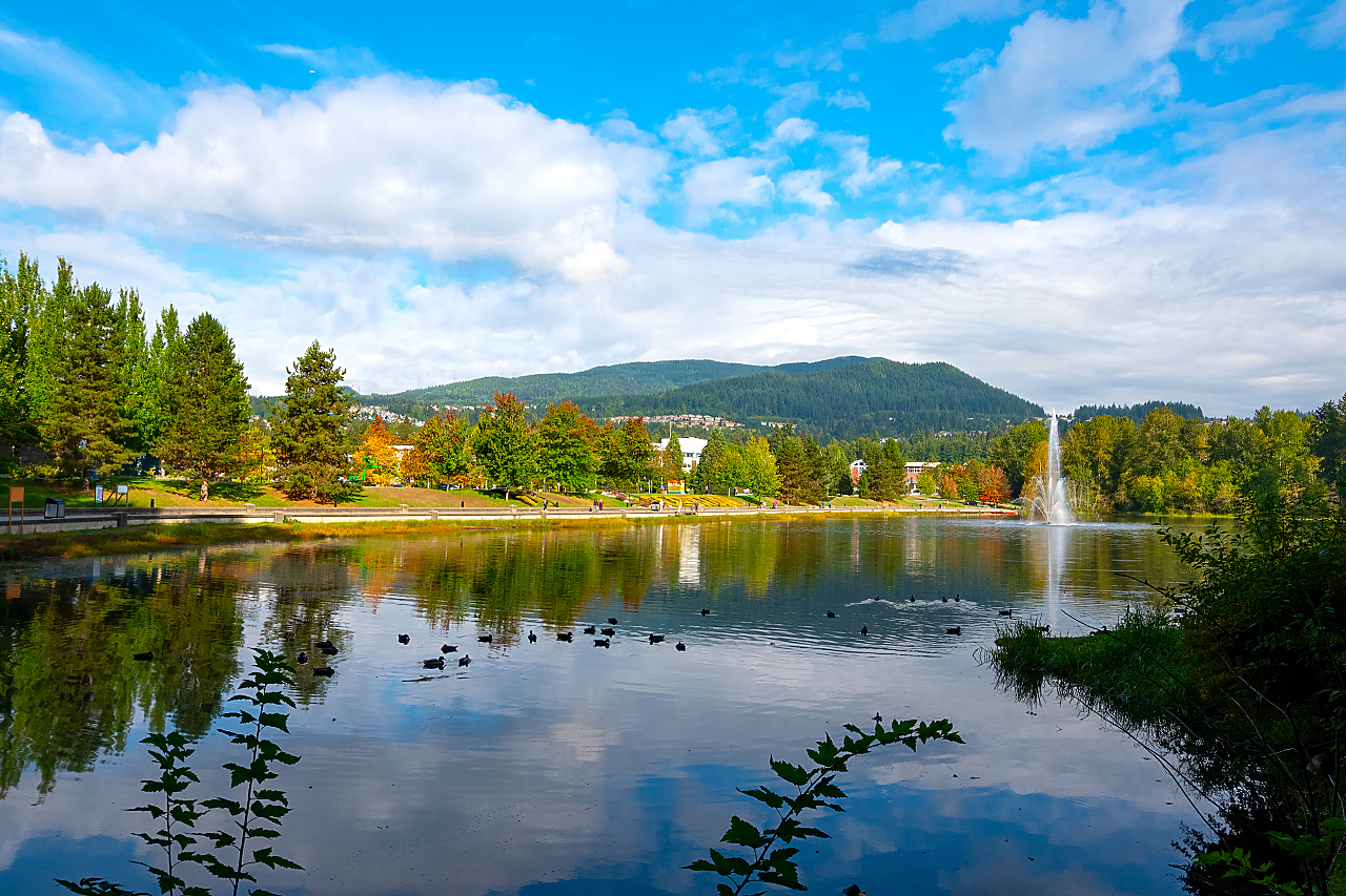 33-1486 Johnson Street, Coquitlam 47