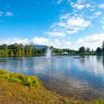 MARKET UPDATE – AUGUST 2022