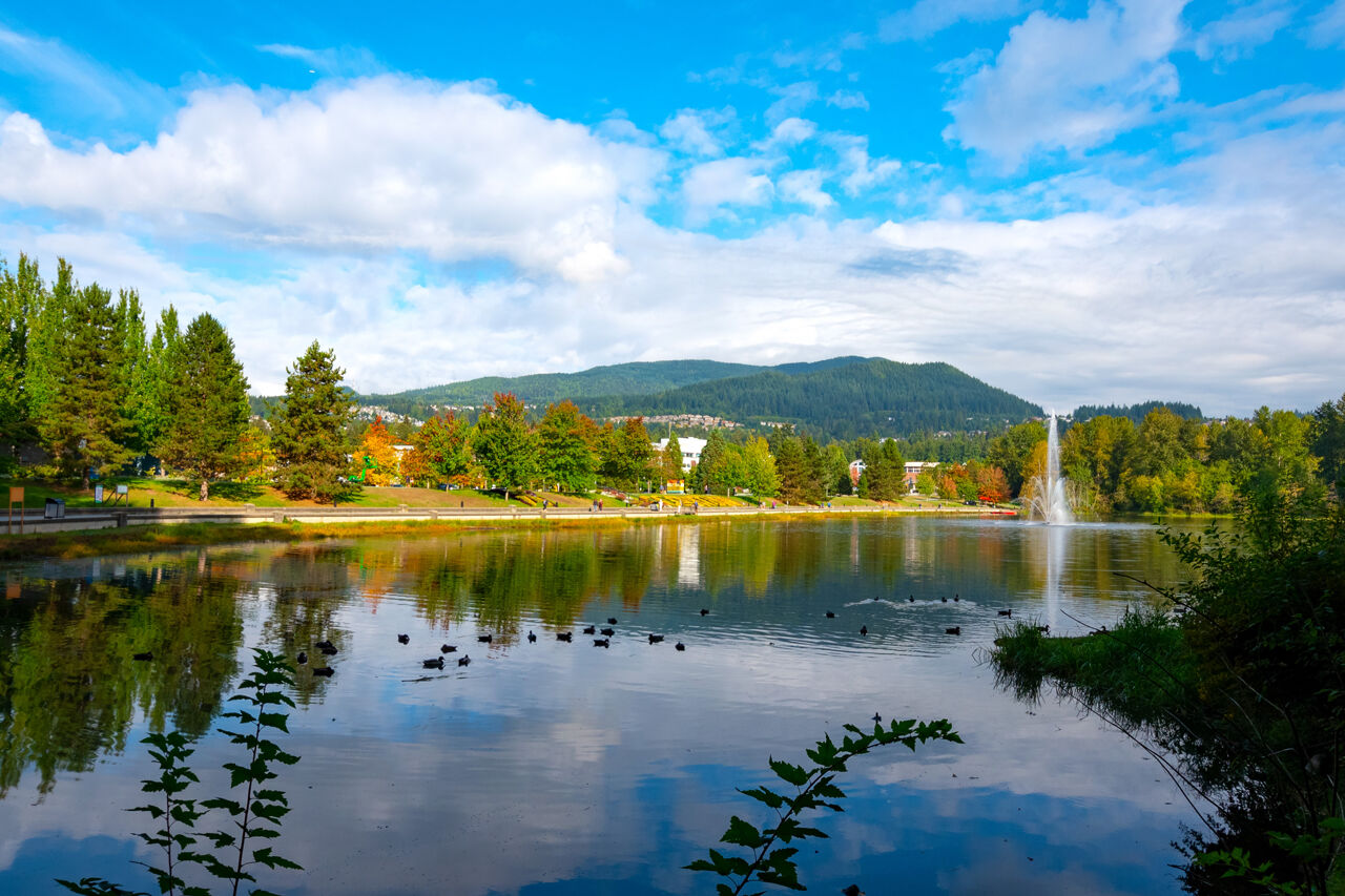 1204-1190 Pipeline Road, Coquitlam 50