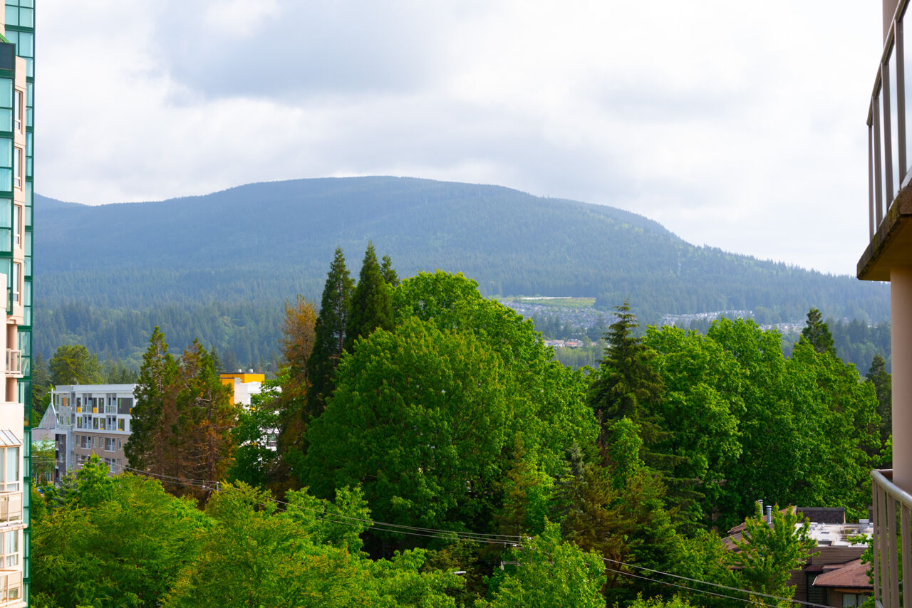 807-1190 Pipeline Rd, Coquitlam 18